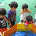 アユのつかみどり 048_ks アユのつかみどり 048_ks