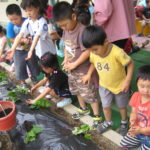 苗植え・つる挿し・歯磨き 022 苗植え・つる挿し・歯磨き 022