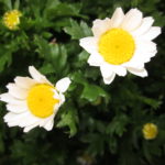 4月のある日 002 4月のある日 002