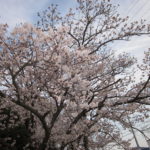 入園式 022 入園式 022