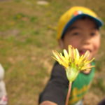 4月のある日 022 4月のある日 022