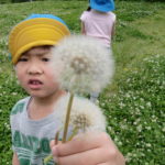きい・あお遠足 014