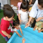 あゆのつかみ取り会 014