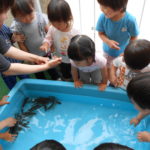あゆのつかみ取り会 012