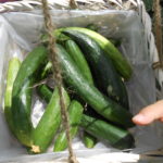かっぱまつり2 012