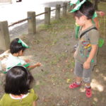 かっぱまつり 005 かっぱまつり 005